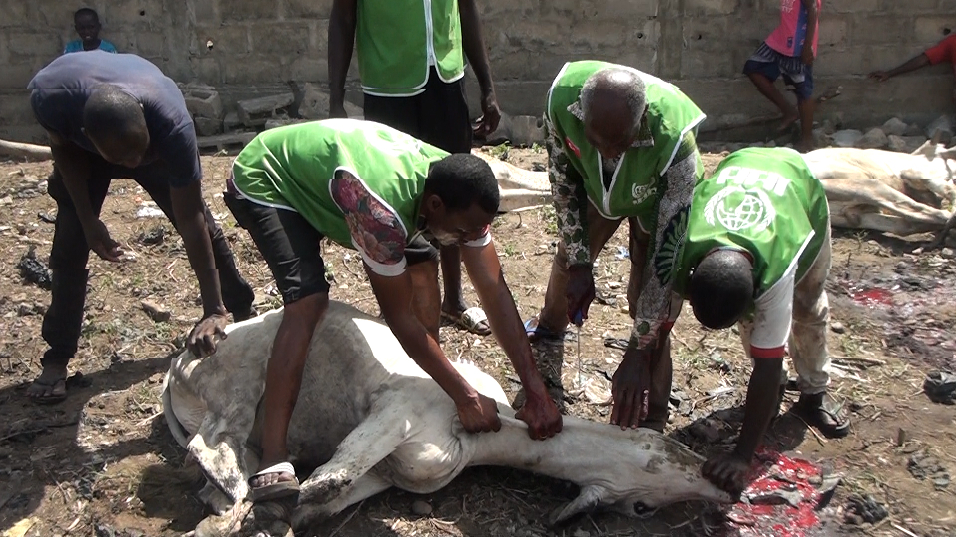 Programme de Tabaski 2026 avec la fondation IHH